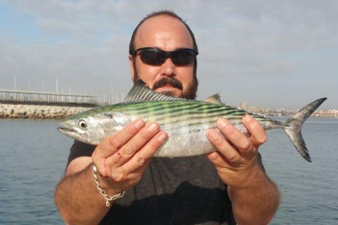 cotos de pesca valencia visor cartografico