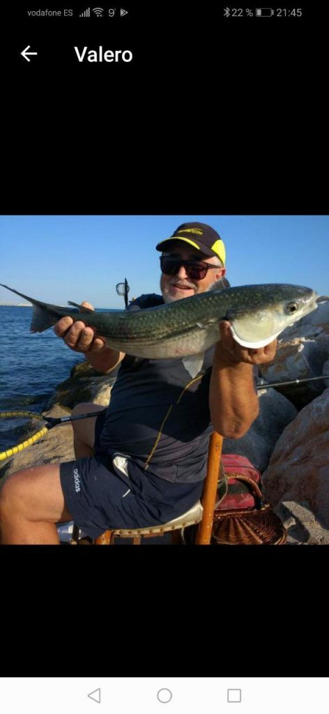 Captura en pesca al corcheo en Valencia